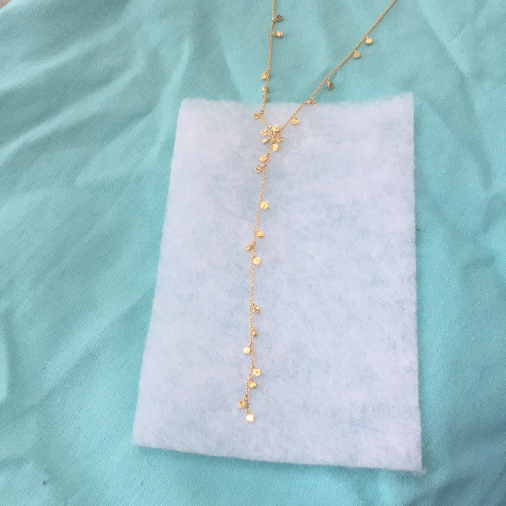 Gorjana Y- necklace